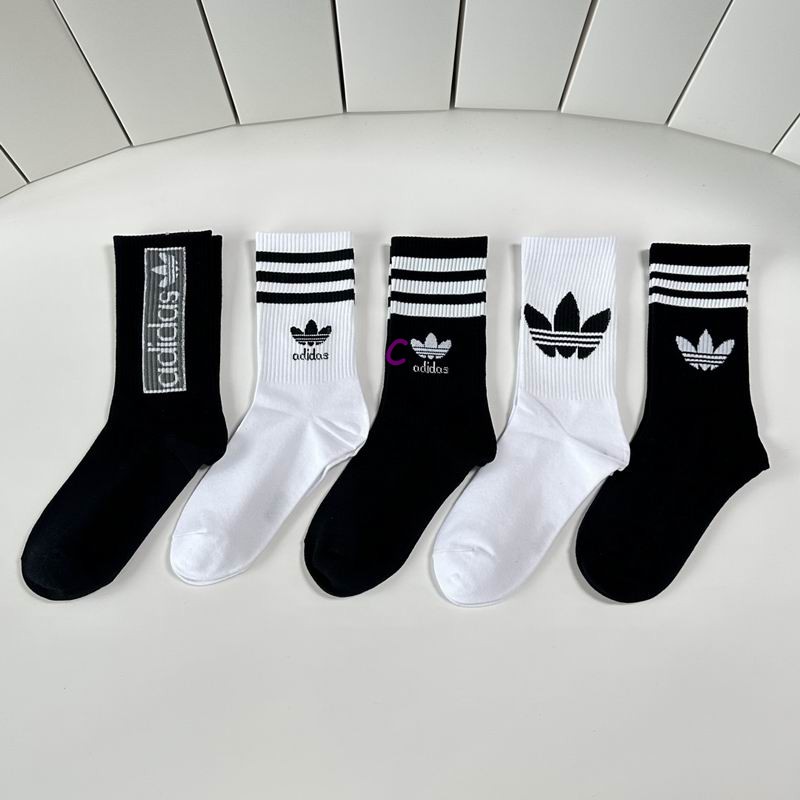 New Socks Nov-2